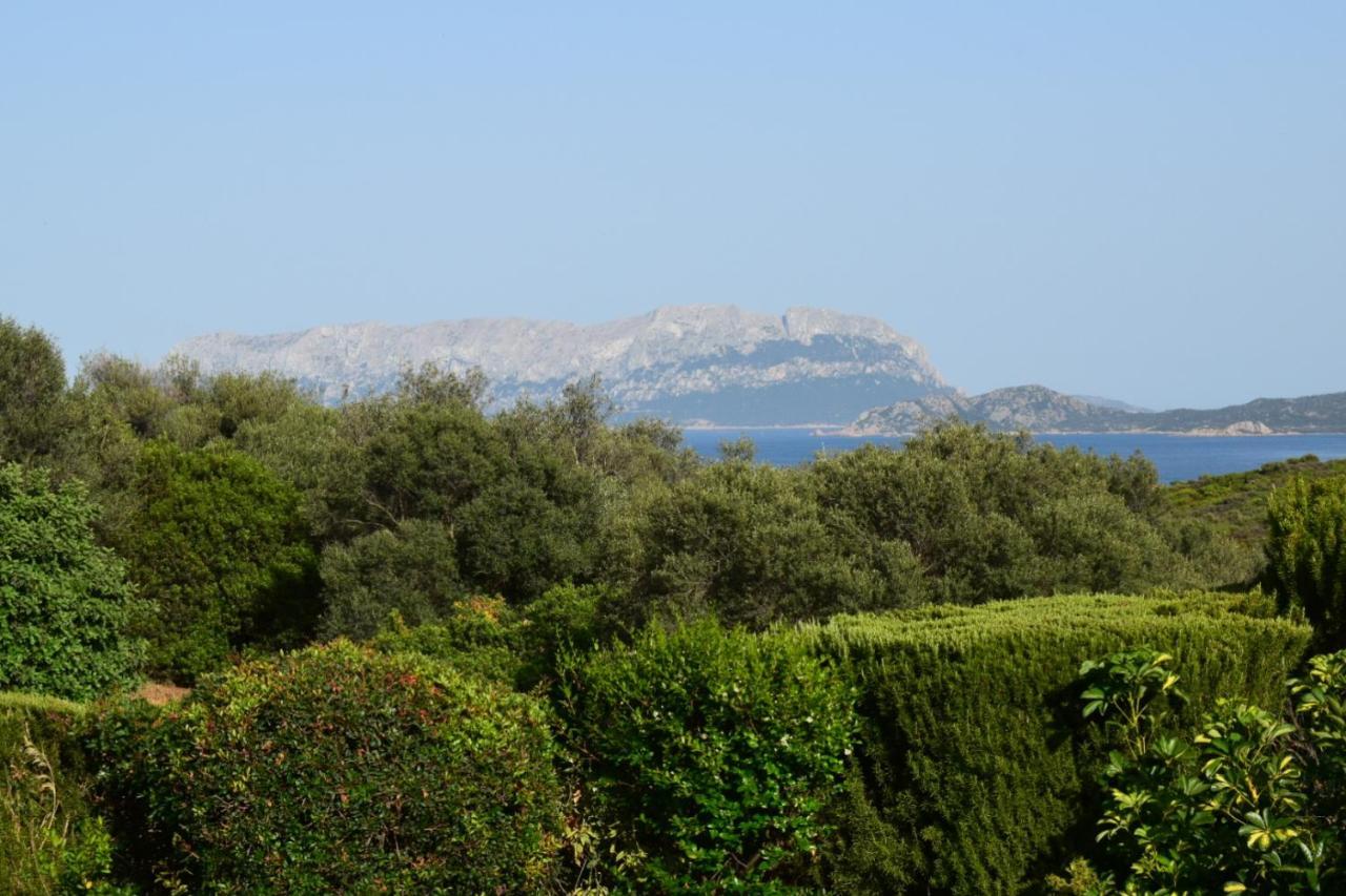 Apartamento Sa Domitta Di Suiles Olbia Exterior foto