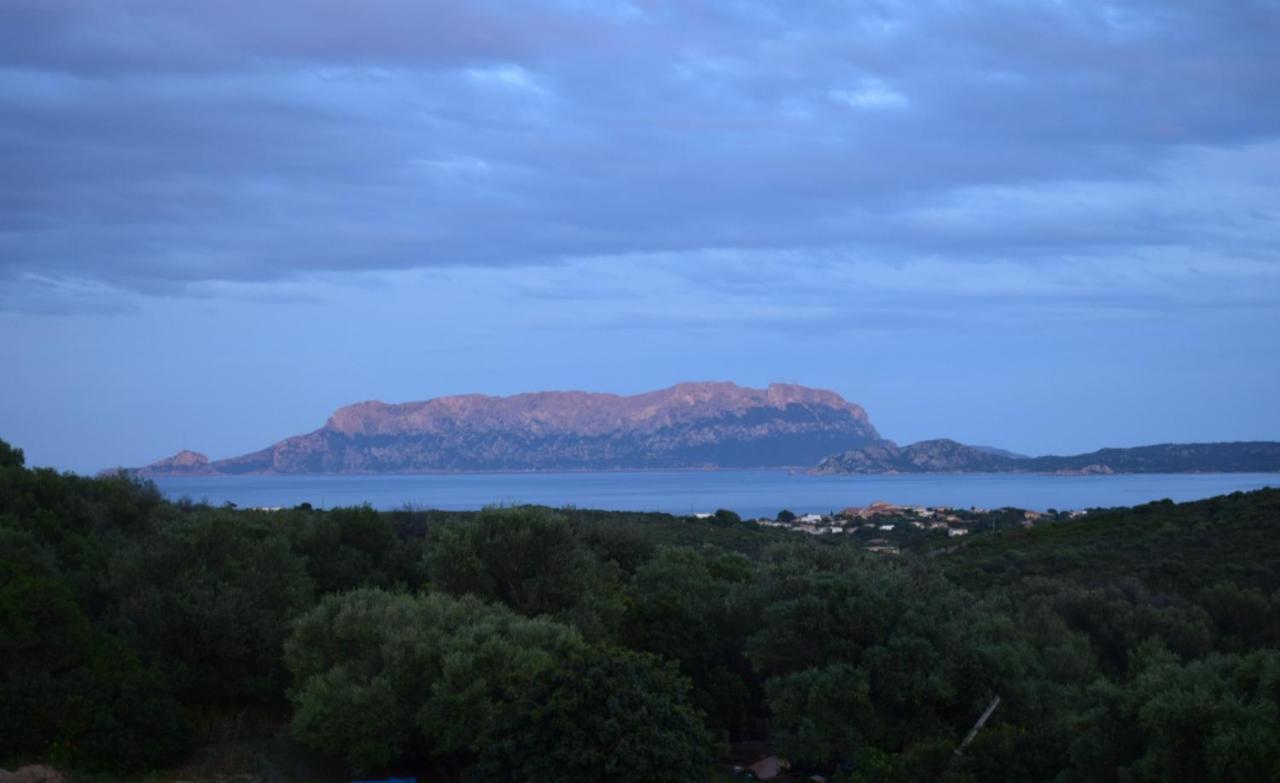 Apartamento Sa Domitta Di Suiles Olbia Exterior foto
